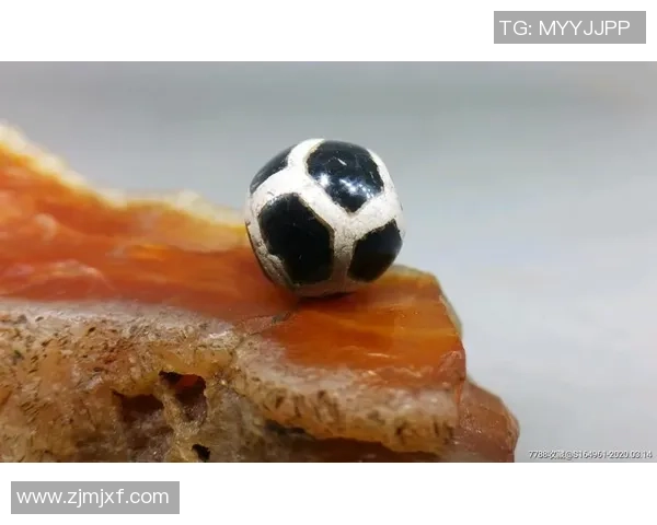 天珠足球的魅力探秘与发展历程解析及未来展望