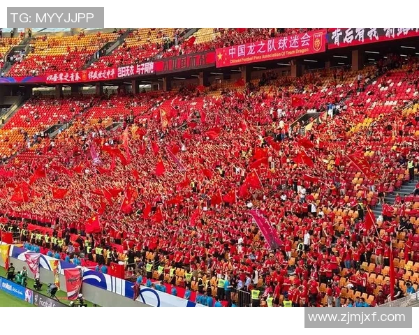 足球80元的魅力探秘与球迷热情的完美结合