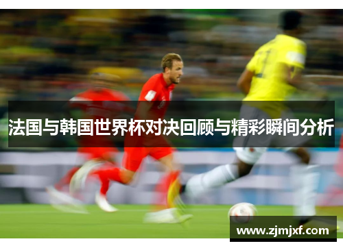 法国与韩国世界杯对决回顾与精彩瞬间分析